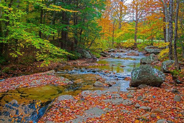 Gulin, Sylvia 아티스트의 USA-New Hampshire-New England-Jackson small stream surrounded in Fall color작품입니다.